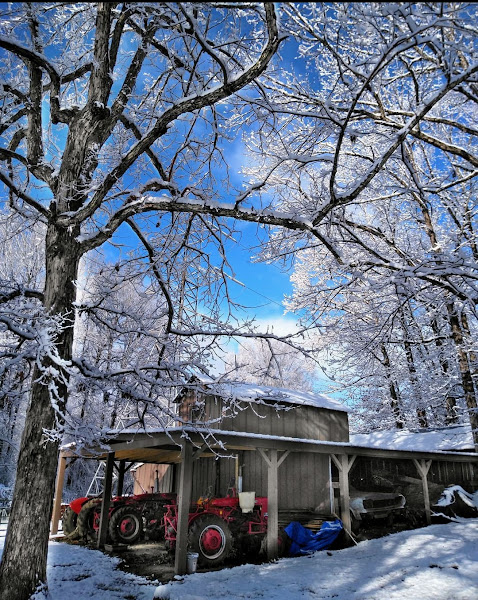Polecat Mountain Farm