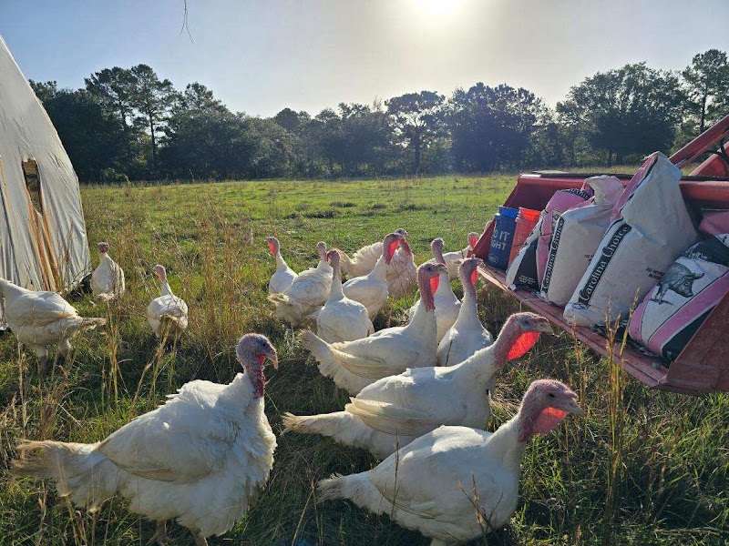 Chucktown Acres