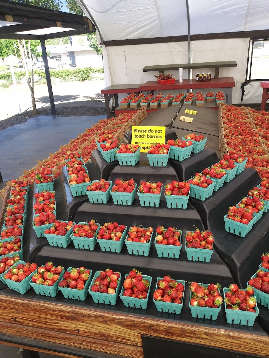 Fujii Farms Inc. photo 2