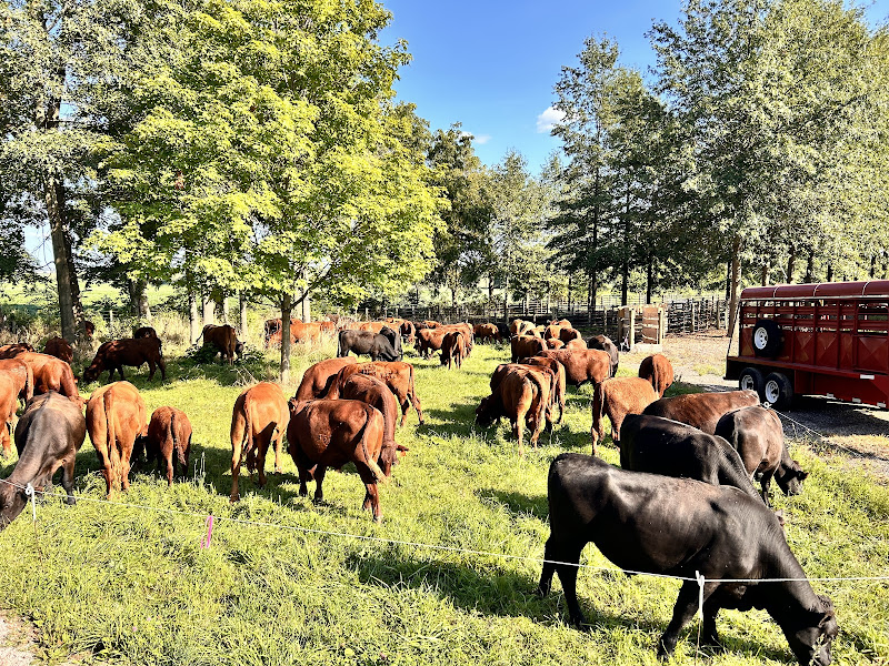 Brass Family Farm - Walnut Grove