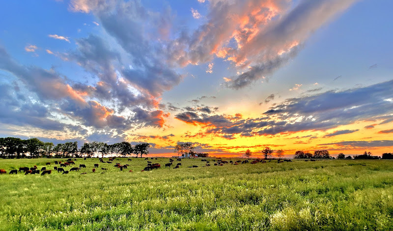Brass Family Farm - Walnut Grove photo 2