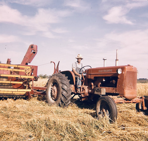 Brass Family Farm - Walnut Grove photo 3