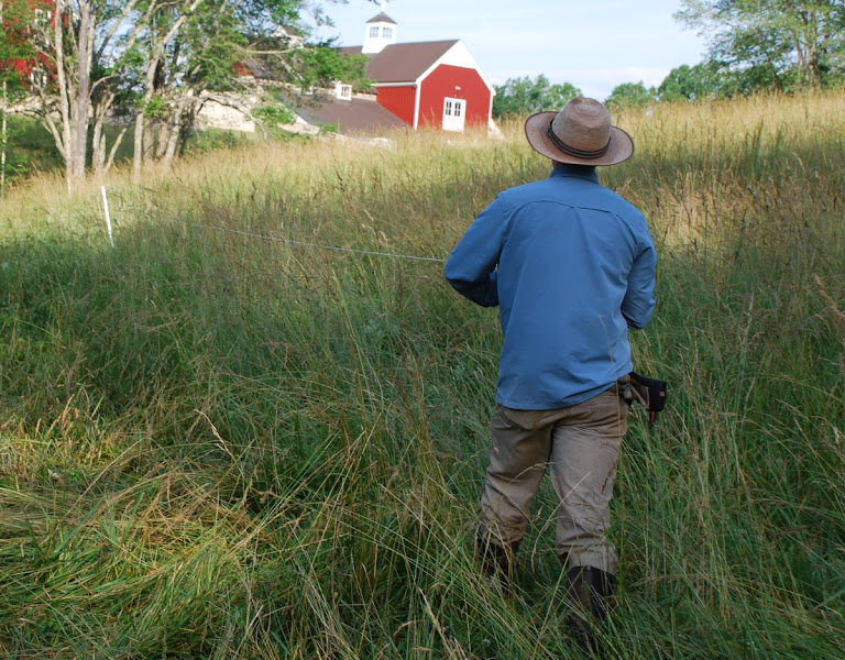 Living Pastures Farm - Grass Fed Beef, Pastured Poultry, & Pastured Pork photo 3