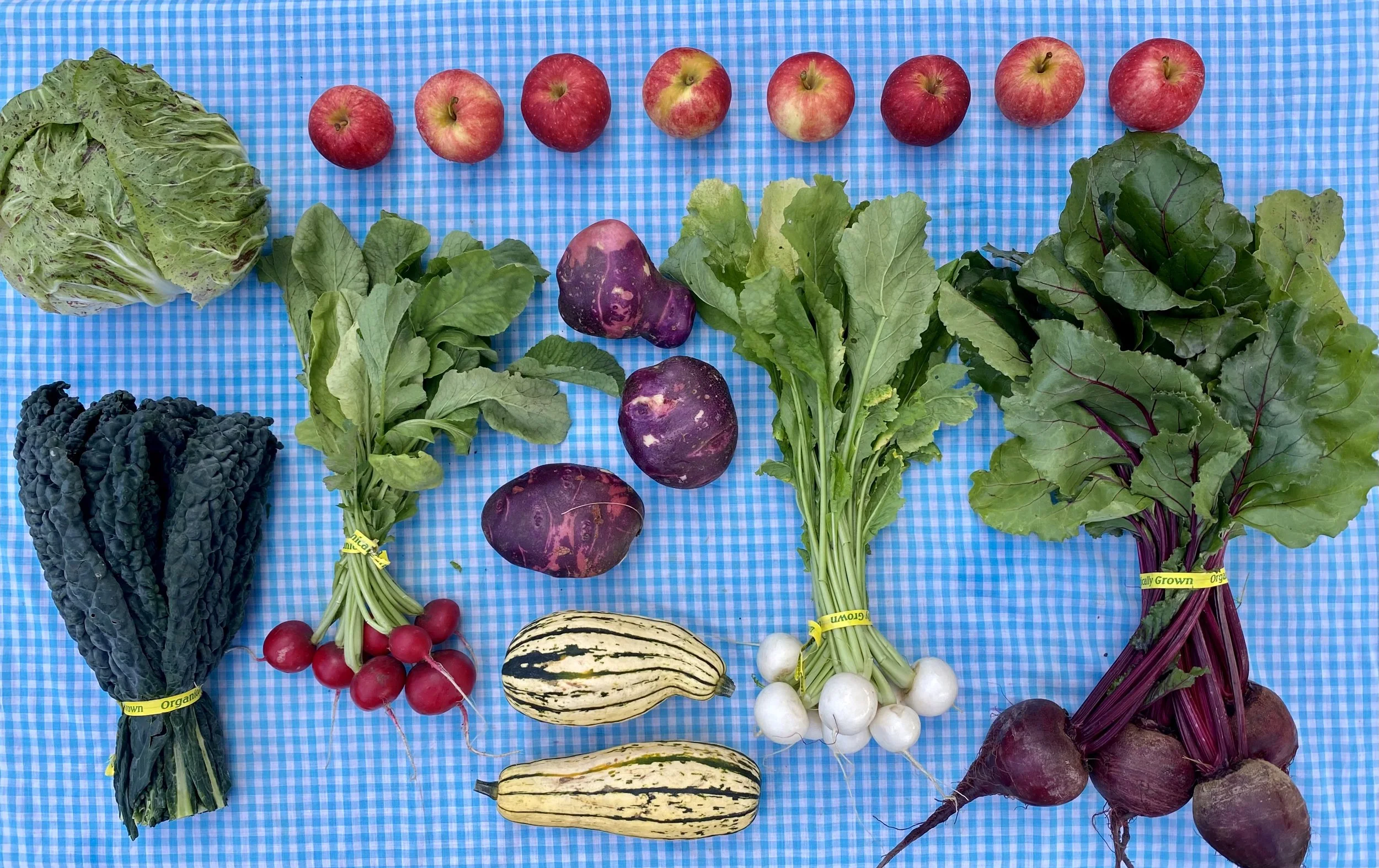 River Run Farm- CSA Farmshare