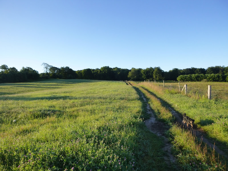 Provision Family Farms