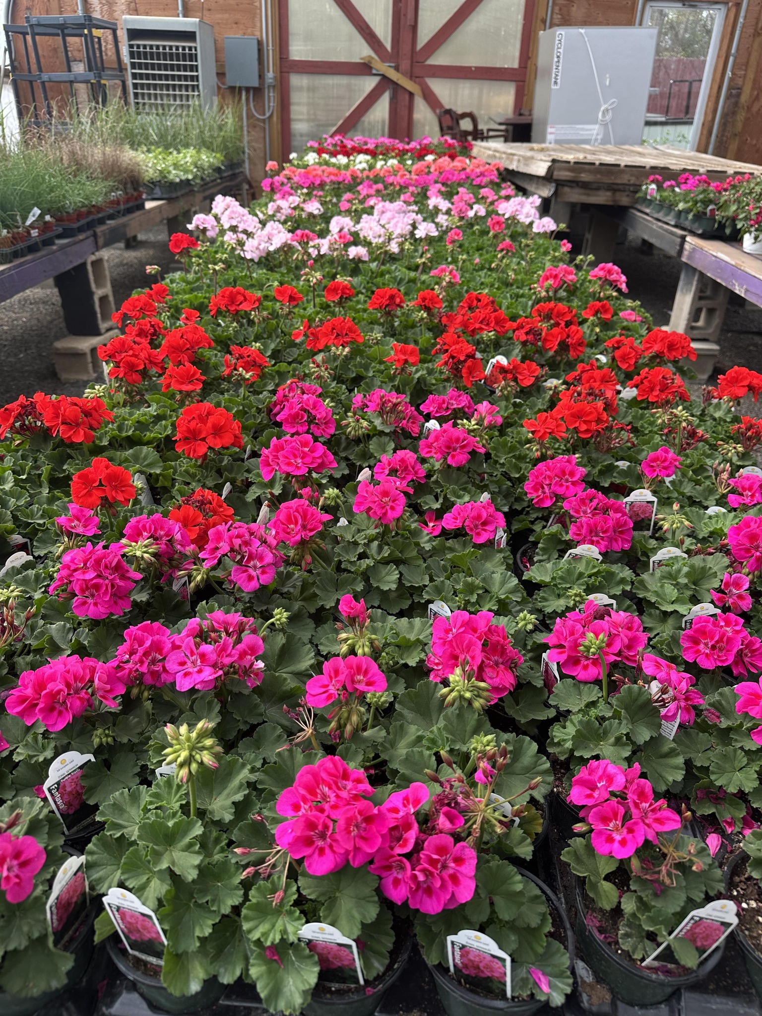 Dwulet's Nursery & Farm Market