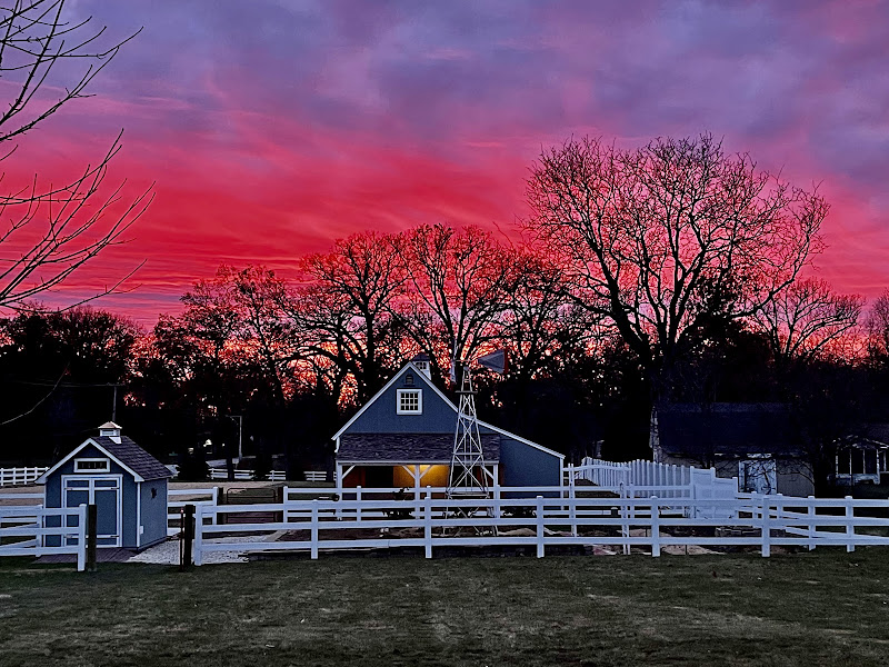 Wiseacre Farm: hyperlocal greens coveted by chefs photo 2