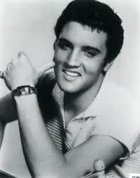 StarDragonfly Herbals photo 18