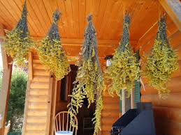 StarDragonfly Herbals photo 19