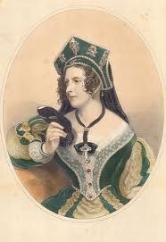 StarDragonfly Herbals photo 8