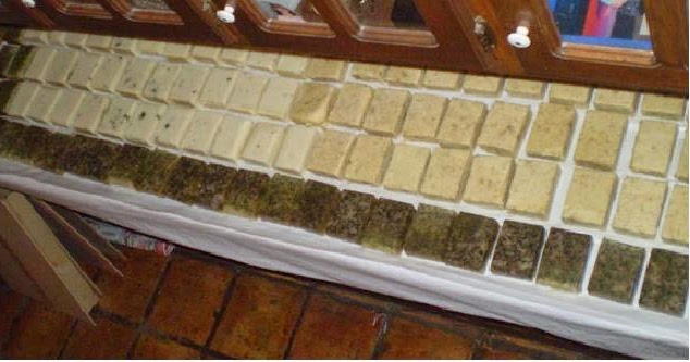 The Groves Family Farm photo 7