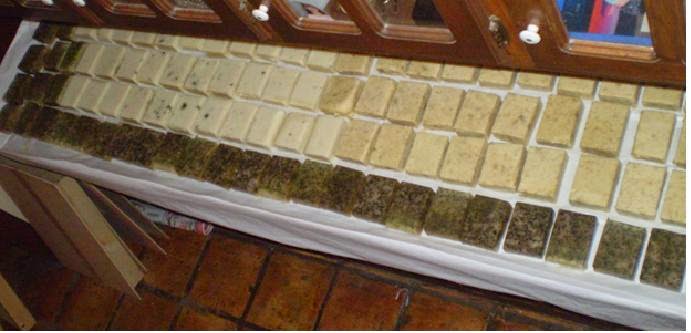 The Groves Family Farm photo 8