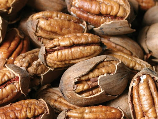 Foster Crossing Pecans photo 5
