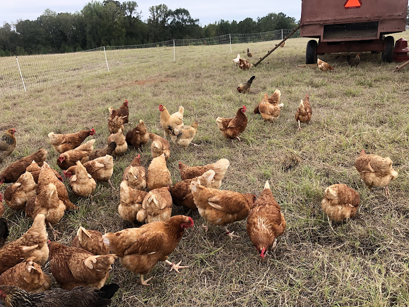 Greenway Farms of Georgia, LLC photo 16