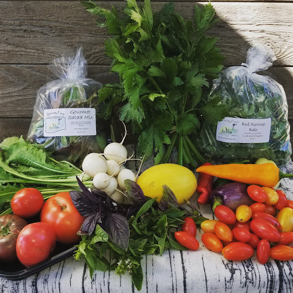 Janzen Family Farms Inc photo 2