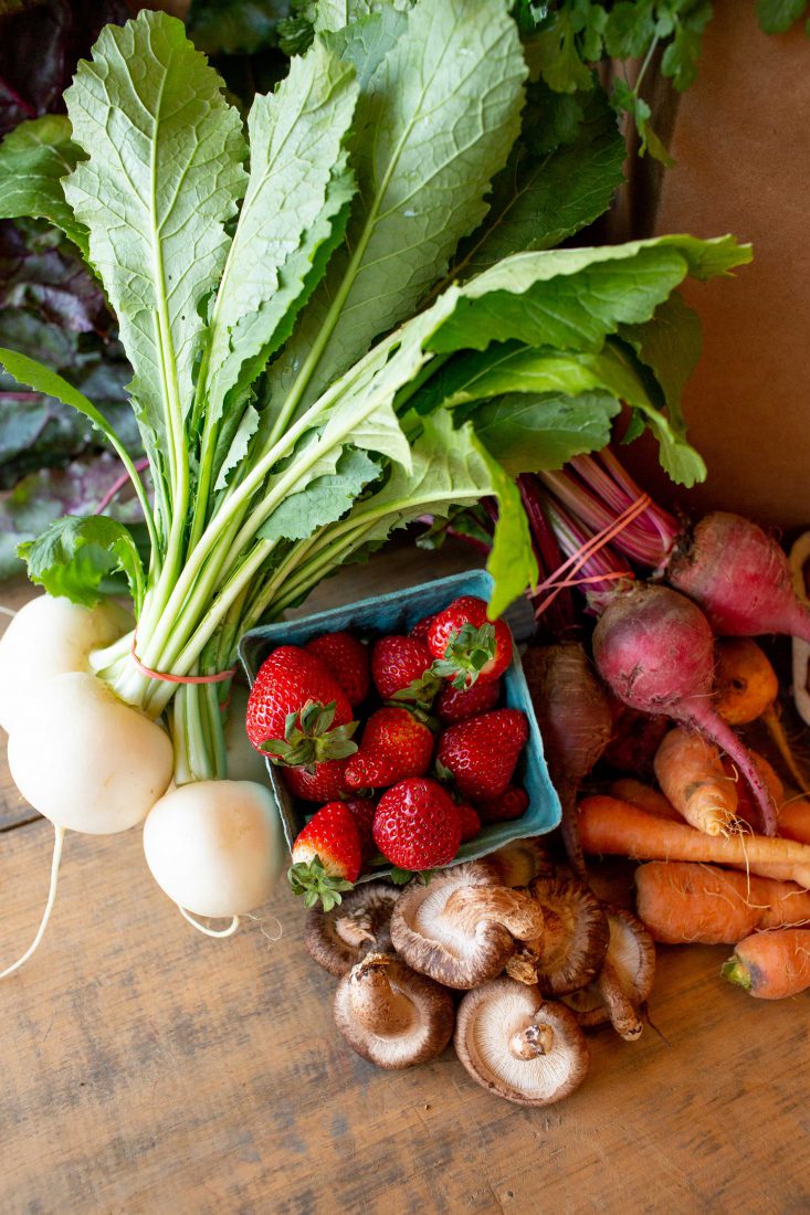 Rise N Shine Farm, Inc photo 2