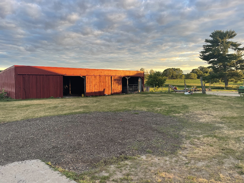 Sunny Cone Farm