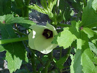 Beasley Farm of Brooksville