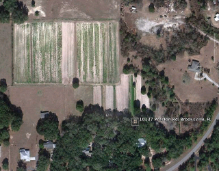 Beasley Farm of Brooksville photo 5