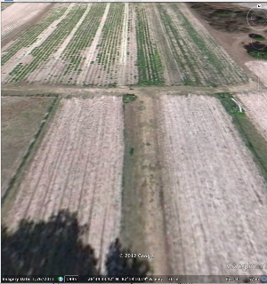 Beasley Farm of Brooksville photo 6