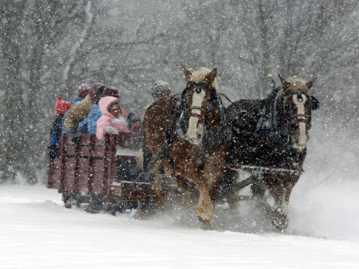 High View Farm photo 2