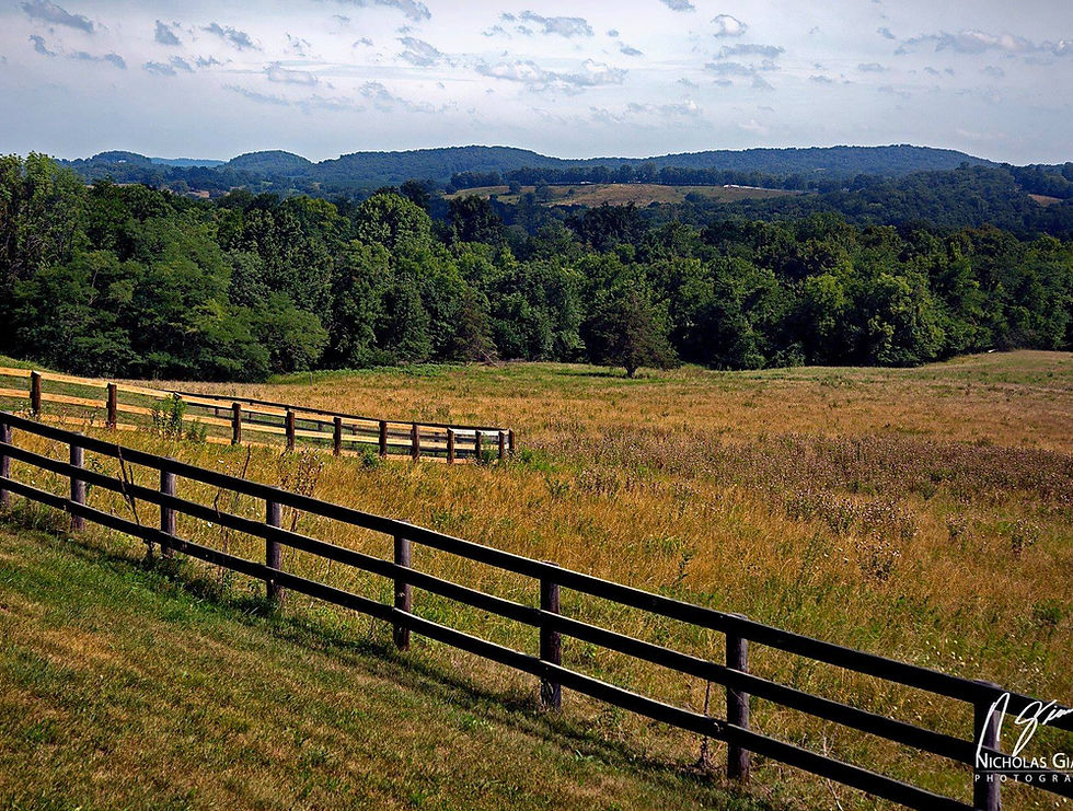 Overlook Farm photo 22