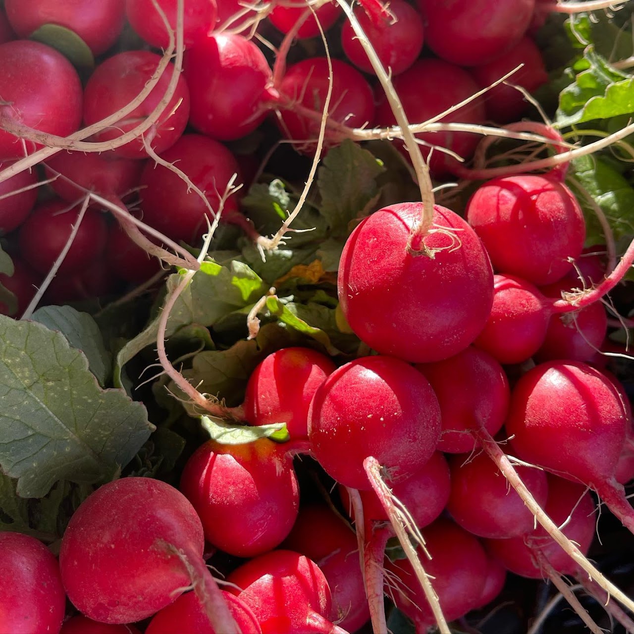 San Luis Obispo Saturday Mornings Farmers Market