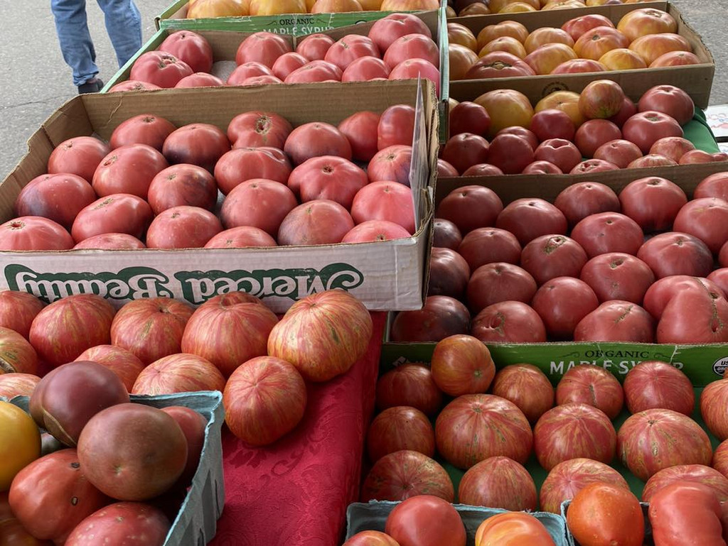 Abundant Life Organic Farms