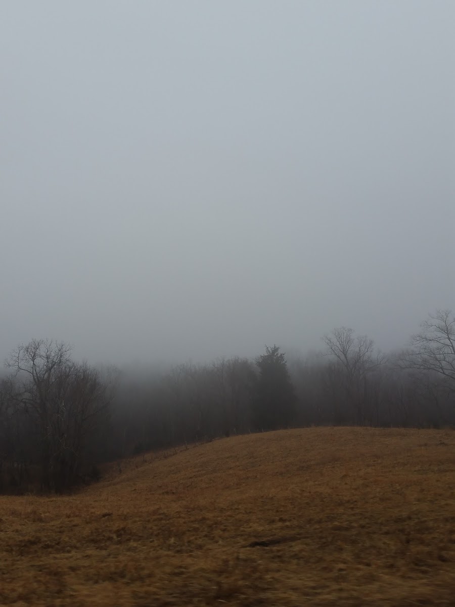 Hazelfield Farm
