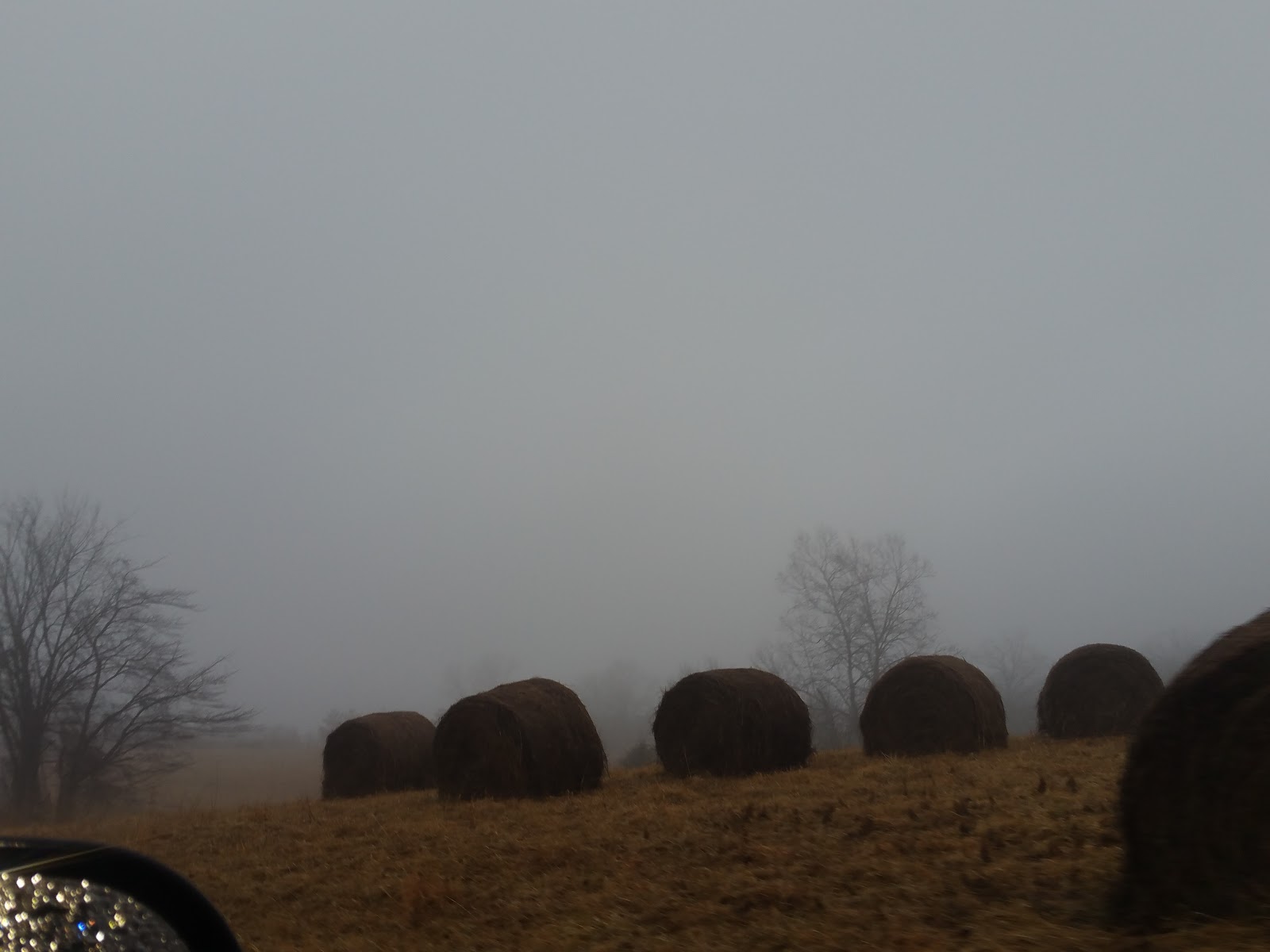 Hazelfield Farm photo 2