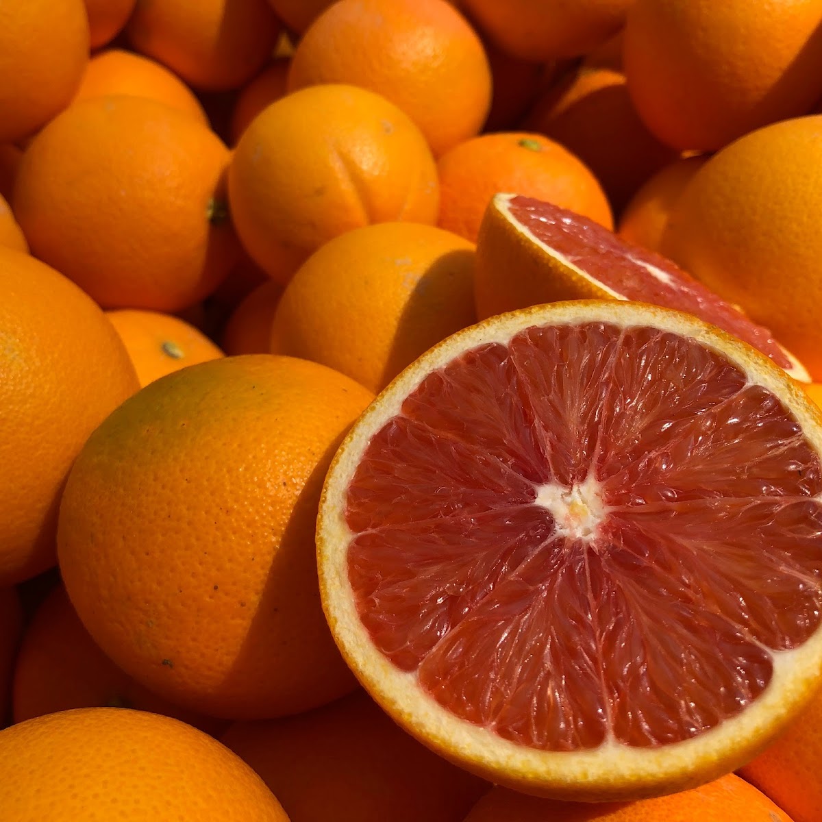 Lawndale Certified Farmers' Market photo 4