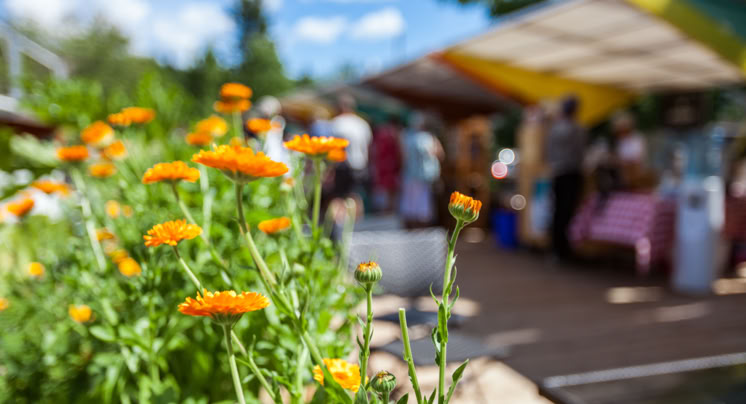 Geneva Farmers Market