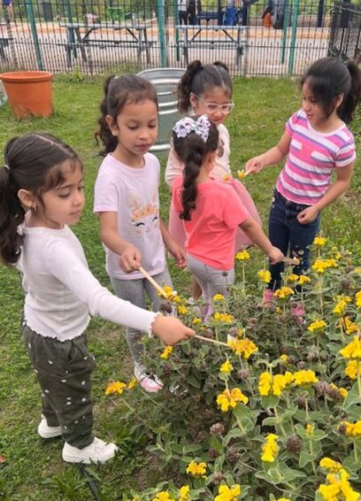 PEAS Community Farm & Urban Orchard