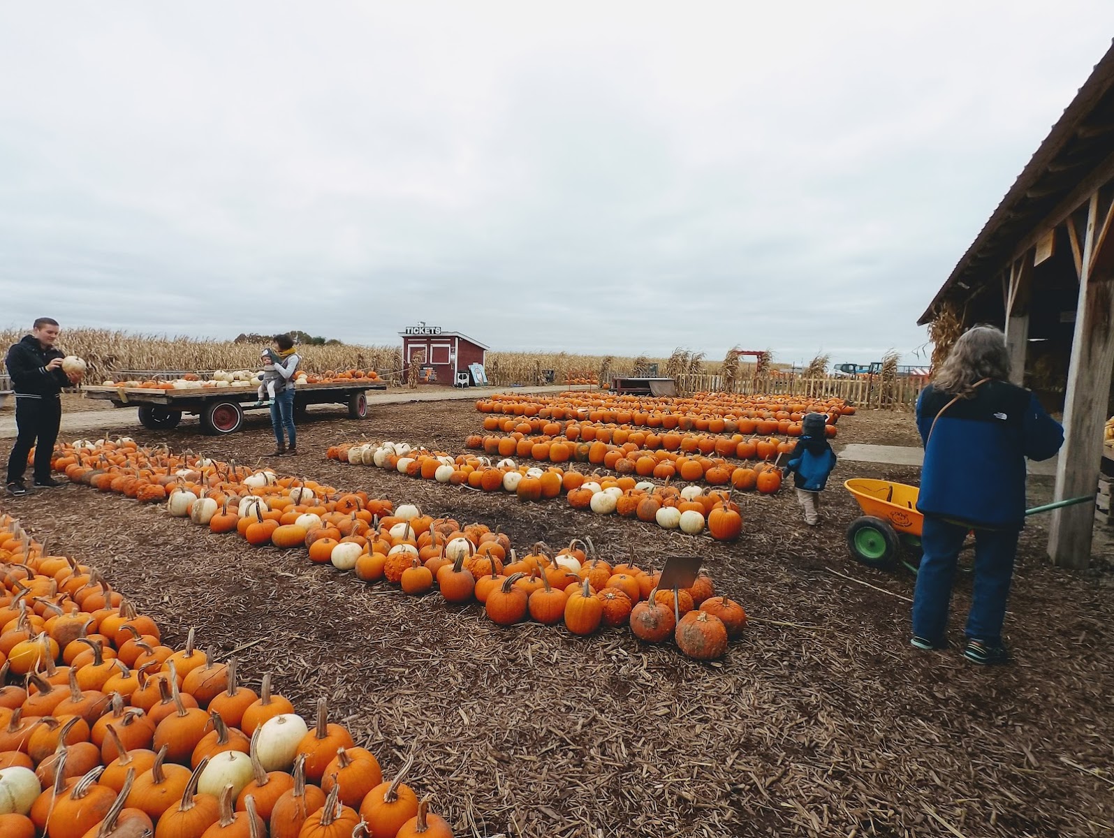 Schuster's Farm photo 2