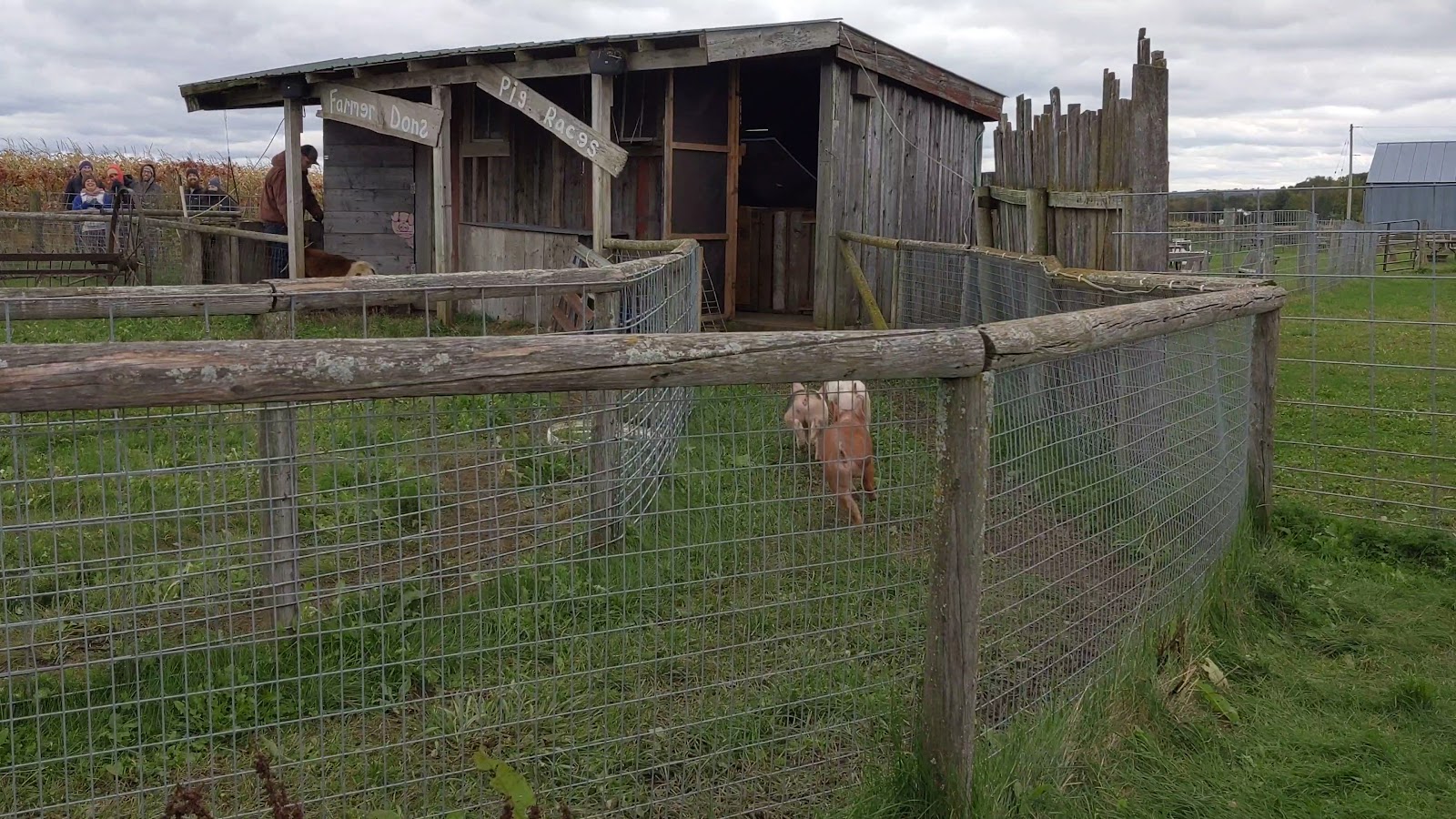 Schuster's Farm photo 3