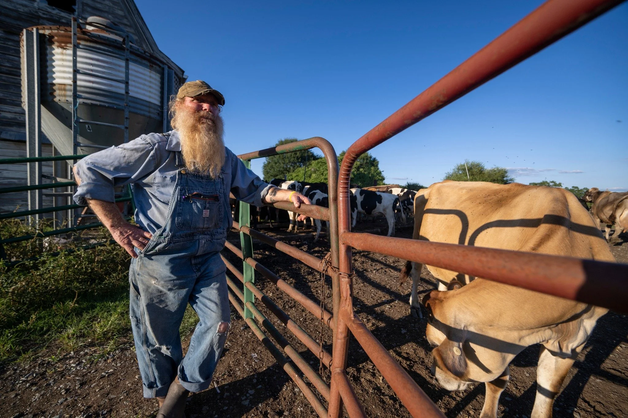 Ran-Lew Dairy photo 5