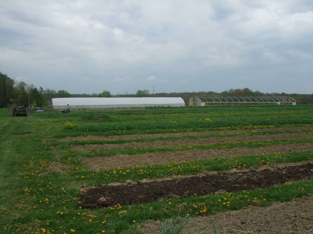 Earth-Shares CSA