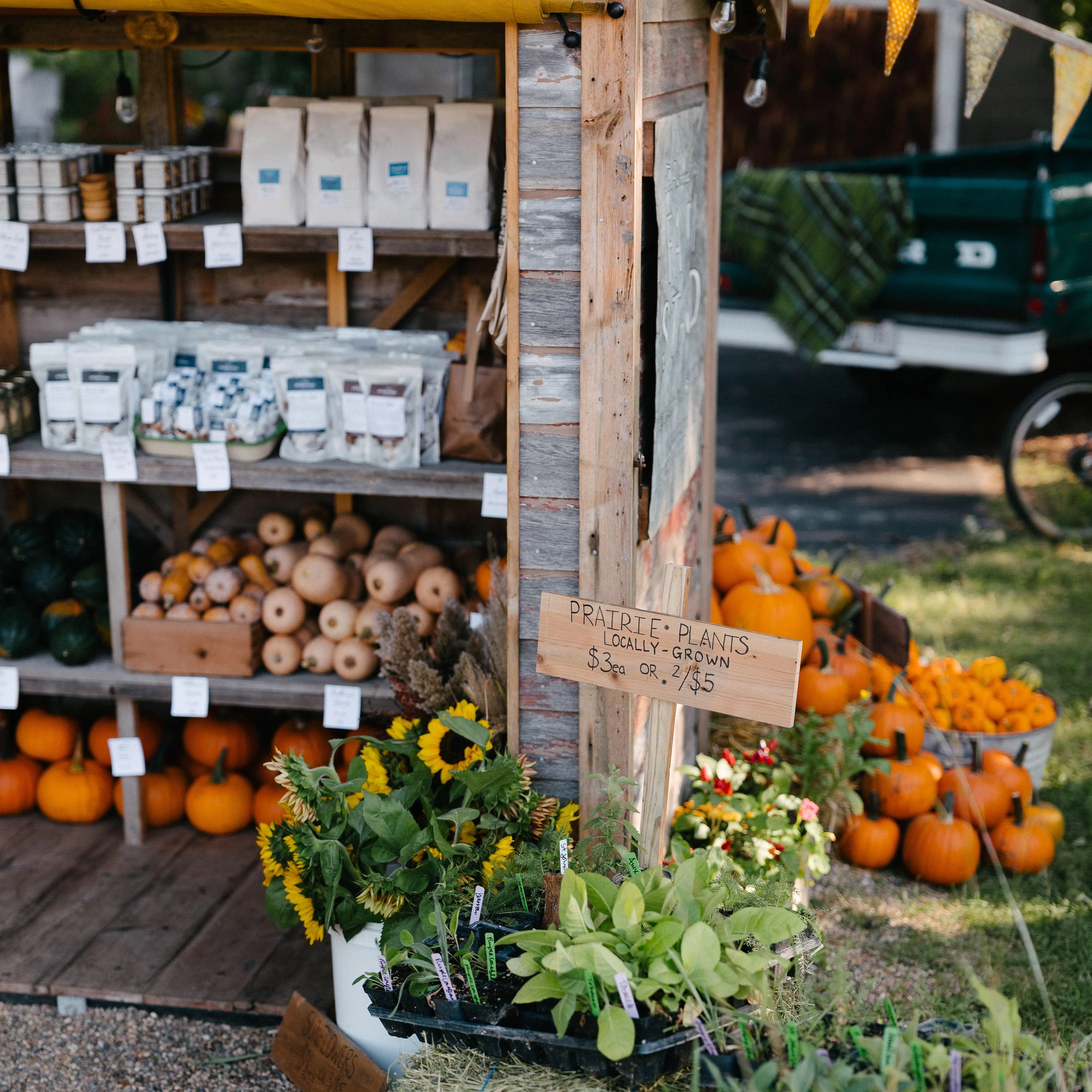 The Perennial Homestead Farm Stand