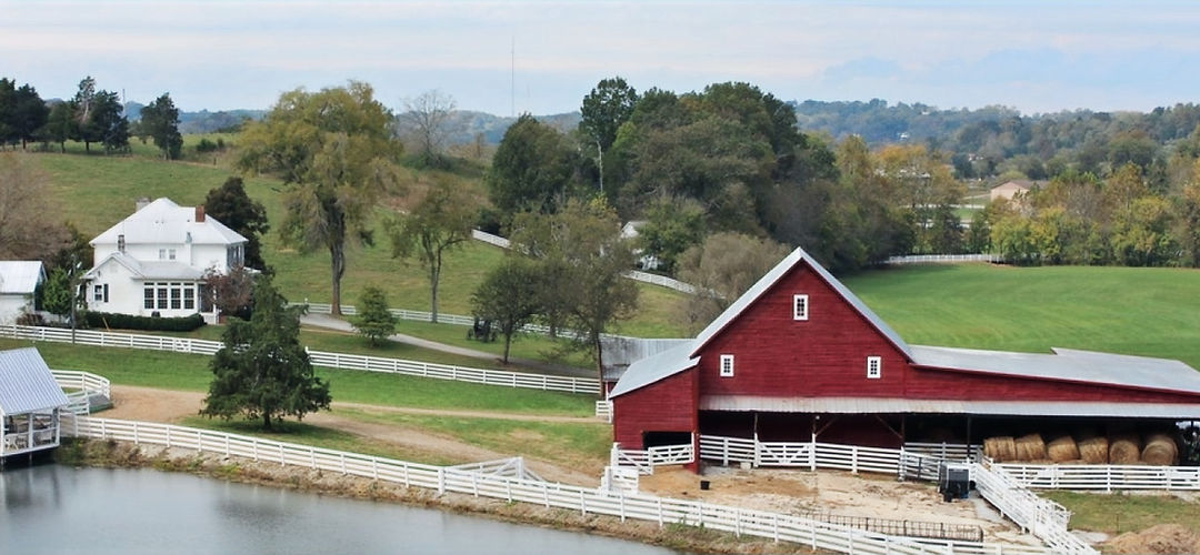 Gilreath Farms photo 30