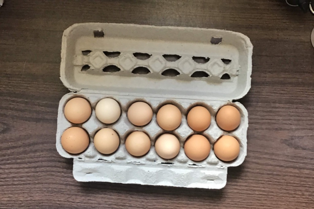 Hill Crest Creamery LLC