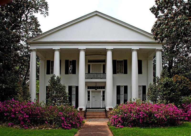 Moore Webb Holmes Plantation photo 4