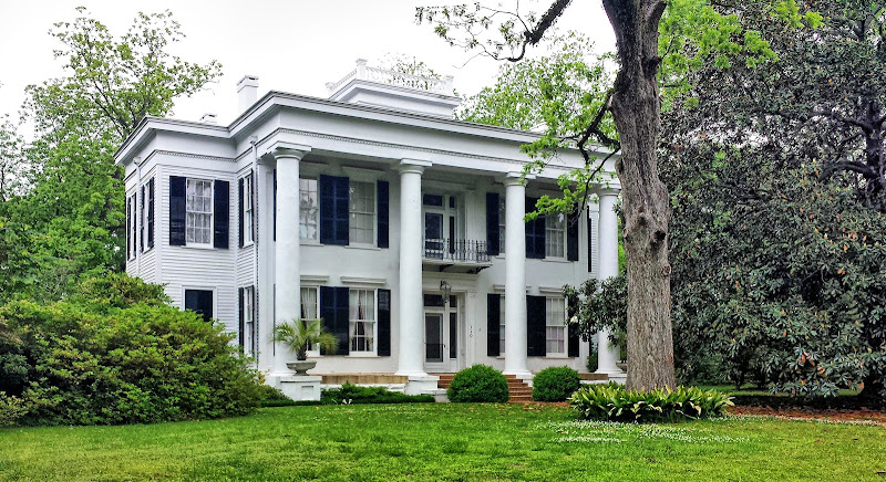 Moore Webb Holmes Plantation photo 6