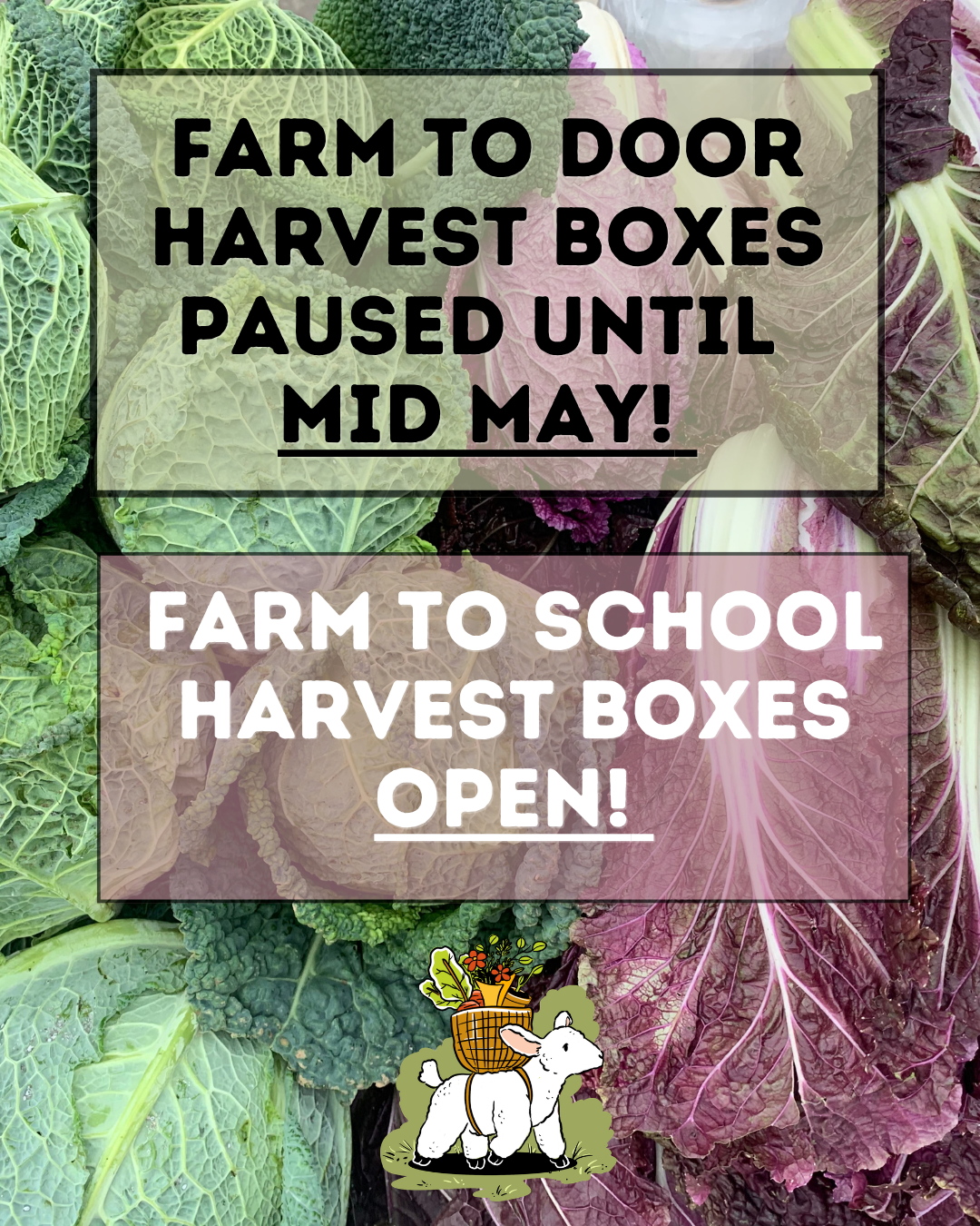 Arcata Plaza Farmers' Market