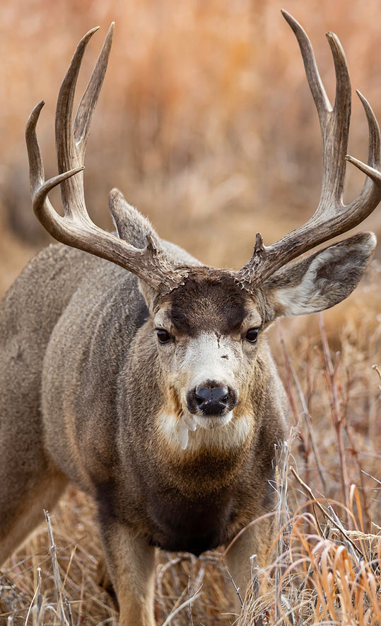 Wyoming Ranch Foods photo 9