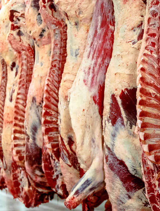 Wyoming Ranch Foods photo 6