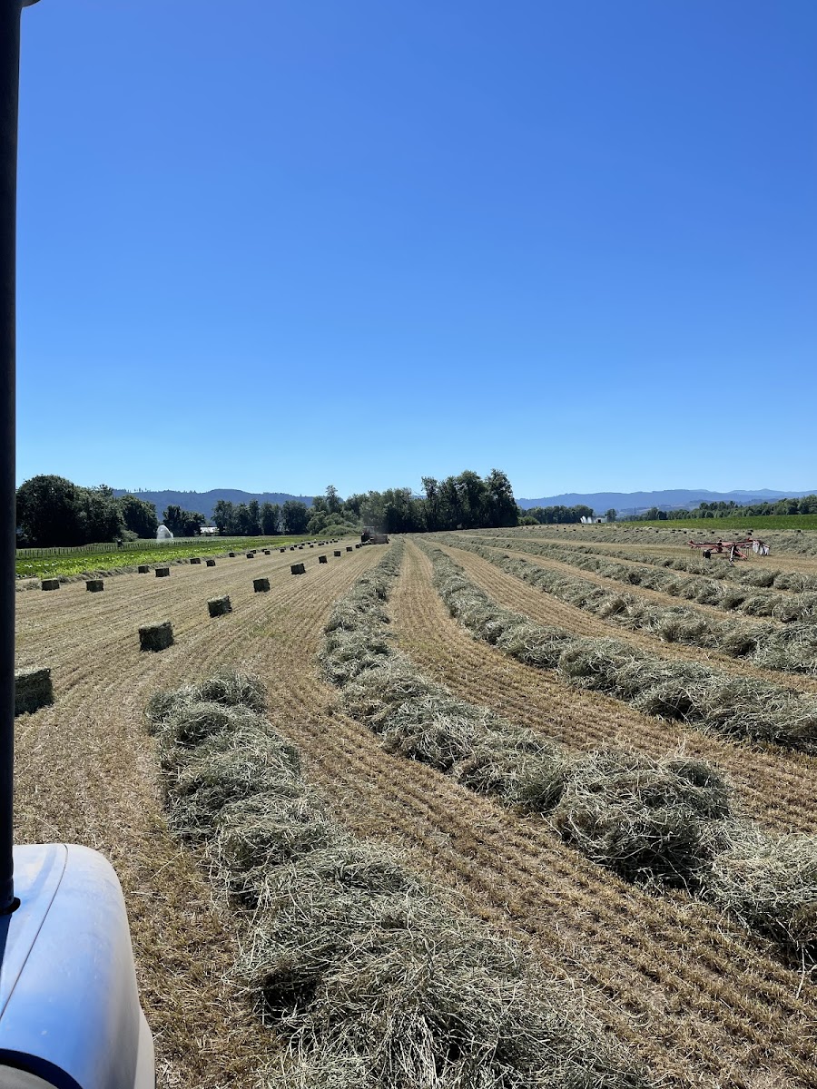 Sun Gold Farm, LLC photo 2