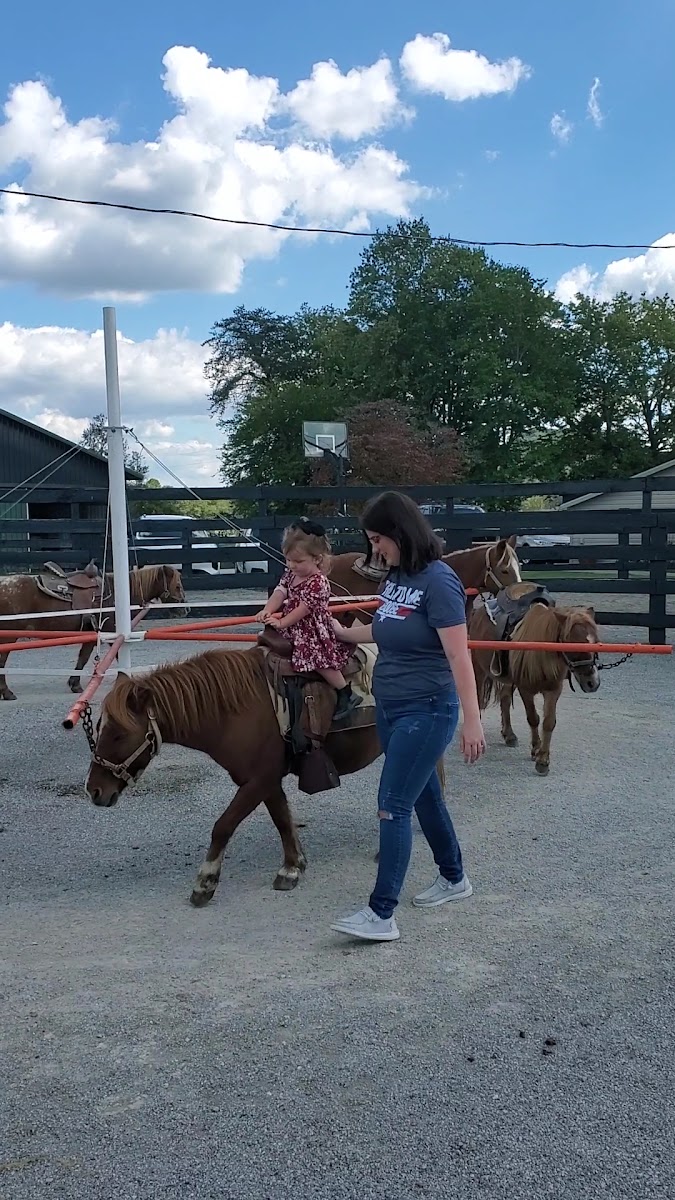 Hillview Stables LLC photo 3