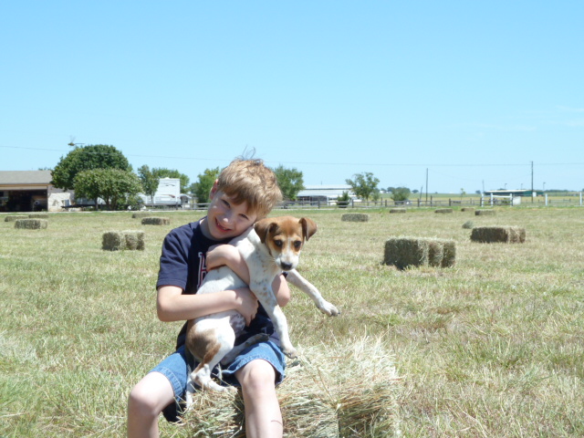 Blueberry Hills Ranch