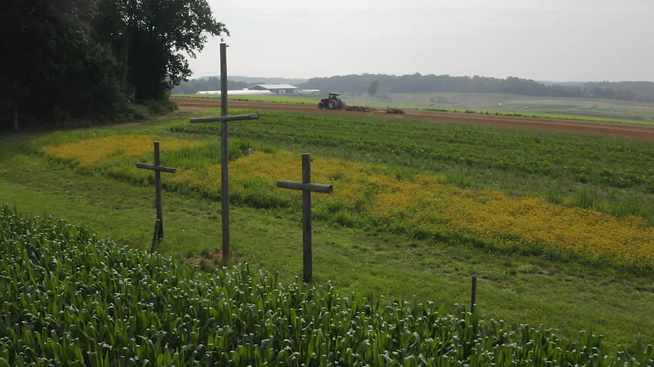 First Fruits Farm, Inc. photo 4
