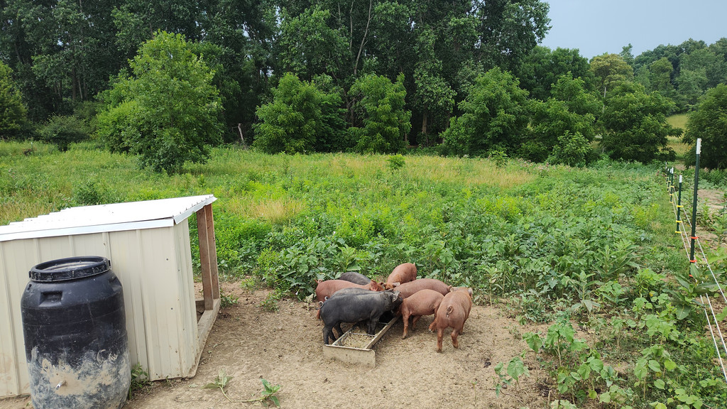 Alter's Family Farm, LLC